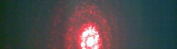 Photo - random