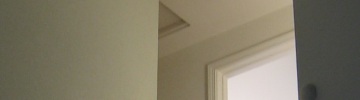 Photo - random